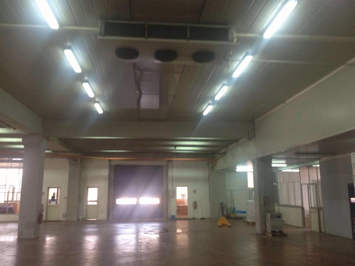 Cella di conservazione 14